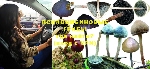 каннабис Верея