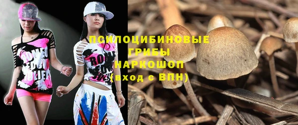 соль ск Бронницы